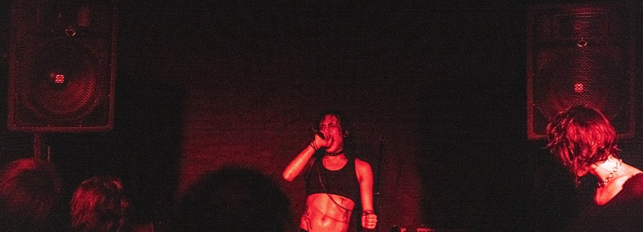 Diana Fuchs Cover Image