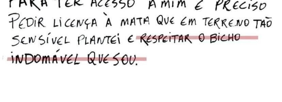 Ingrid Tupinambá Cover Image