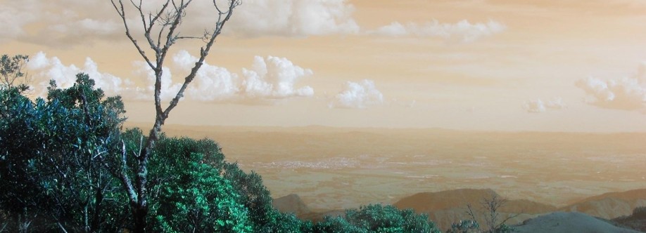 XIPU PURI Cover Image