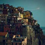 Yesenia Becker Profile Picture