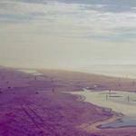 Lexus Wolff Profile Picture