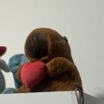 Paola Novelli Profile Picture