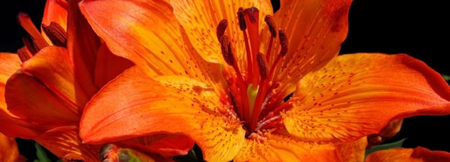 Thênamãîrêkóyâ Krenak Cover Image