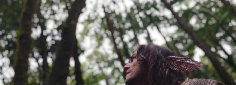 ALISSON SINDEAUX Cover Image