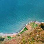 Brannon Quitzon Profile Picture