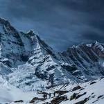 Monroe Rolfson Profile Picture