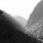 Norris Leuschke Profile Picture