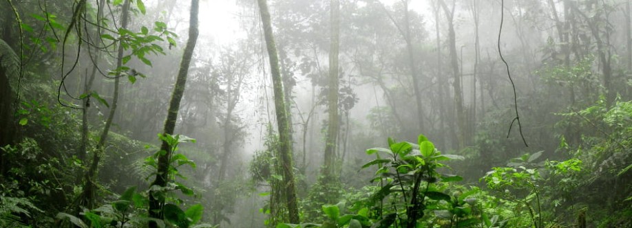 Jonas Kariri Cover Image