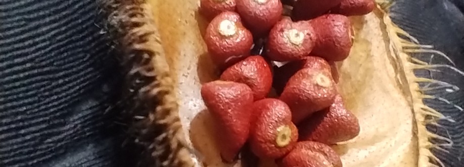 Zamaragugo Tarairiú Cover Image