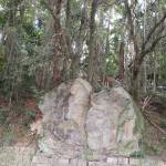 Eliete Silva Profile Picture