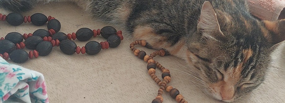 Seté Payayá Cover Image