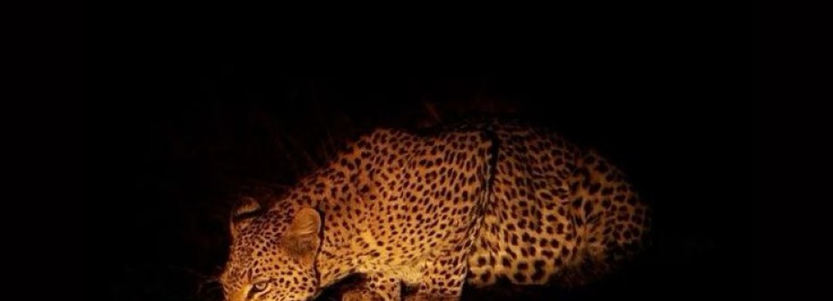 Maria Fernanda Cover Image