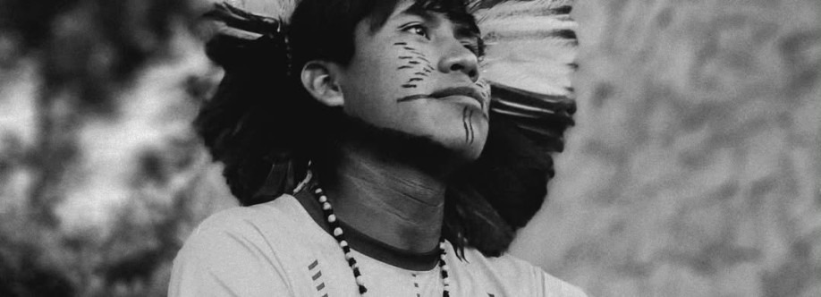 Feh Kaingang Cover Image