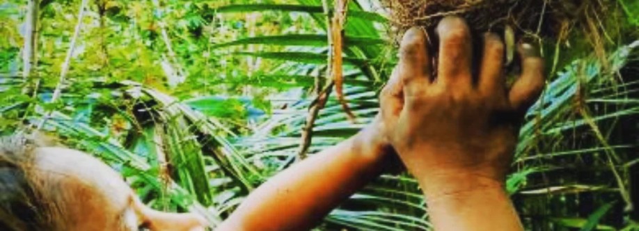 Arapiun Cacheado Cover Image