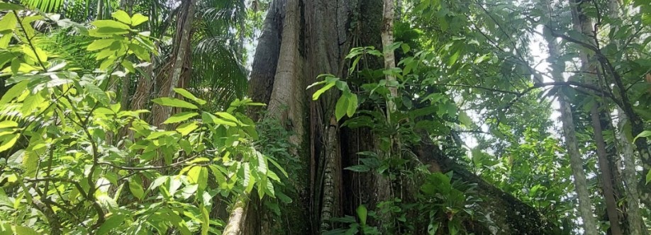 Felipe Zaballa Cover Image