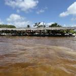 gabriela tasca Profile Picture