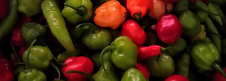 Manuela Baré Cover Image