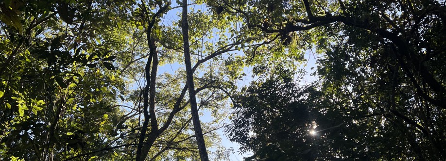 Roká Guarani Cover Image