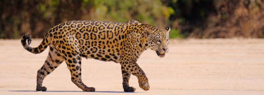 Karethú Krenak Cover Image