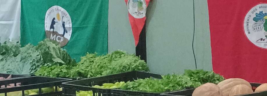 Anderson Costa Cover Image