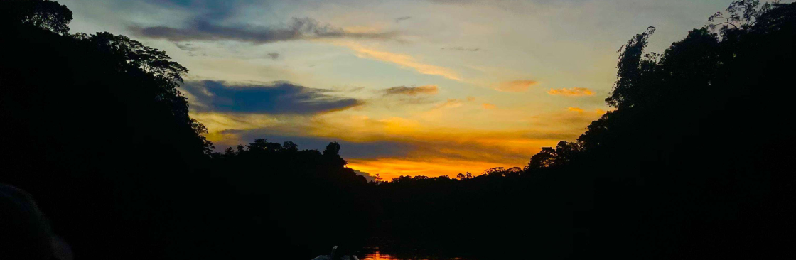 AELSON GOMES Cover Image