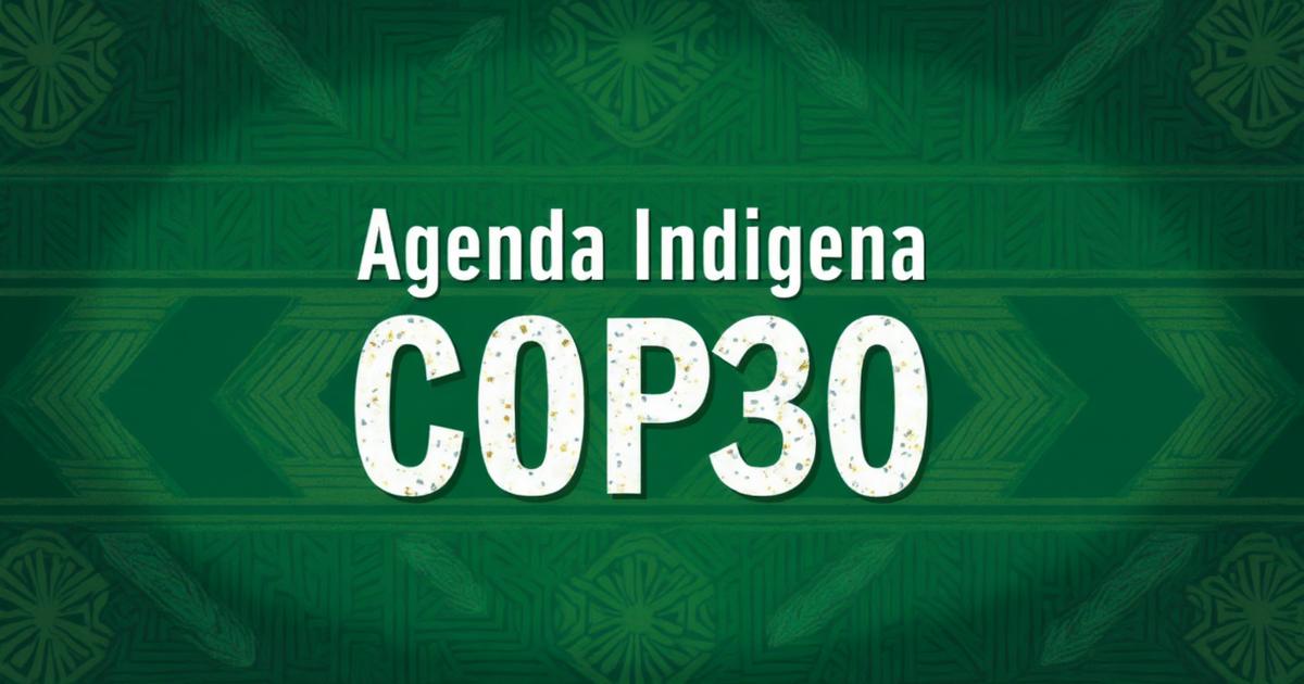 Agenda Indígena COP30 - Organização dos Povos Indígenas na COP30