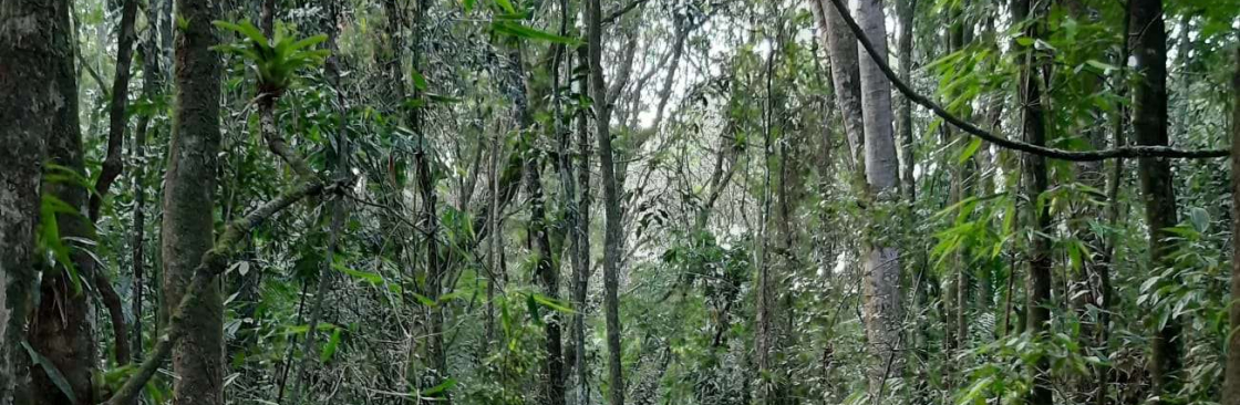 agnesparapoty Cover Image