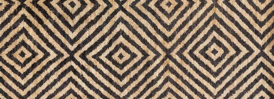 Pedro Henrique Silva Cover Image