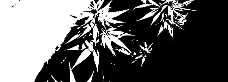 Sativa17 Cover Image