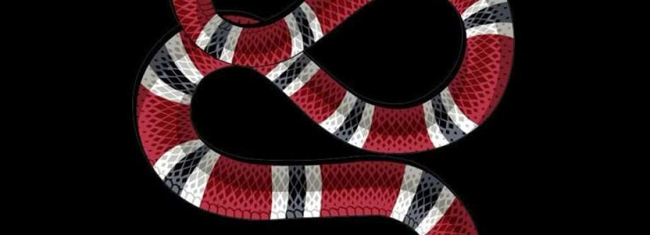 Maximus Pataxó Cover Image