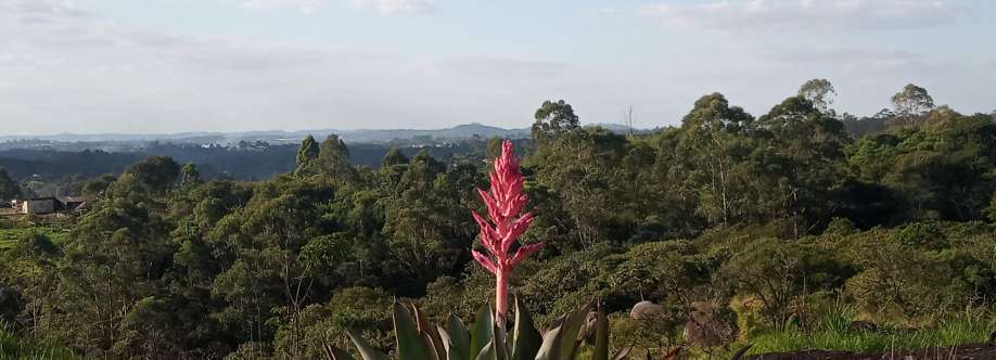 Ruthe Sant Ana Cover Image