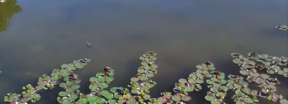 Adrya Itacoatiara Cover Image