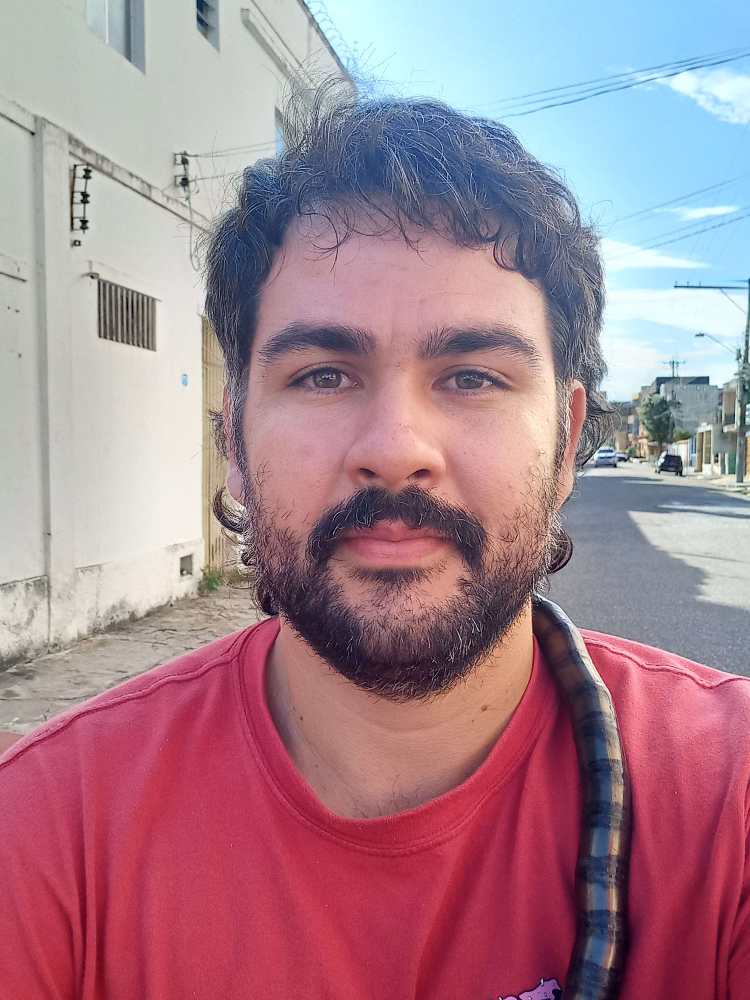 Gabriel Souza Bozi Profile Picture