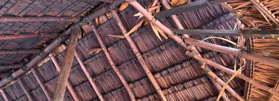 Geisi Pereira Cover Image