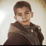 Dingo Lingo Profile Picture