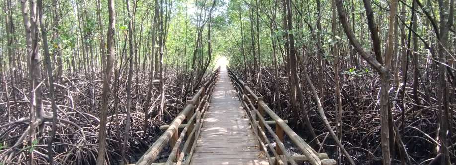 Marta Dueñas Cover Image