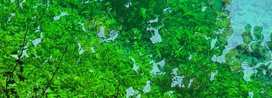 Corinna Oliveira Cover Image