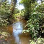 Carlos Abaporojucaiba Profile Picture