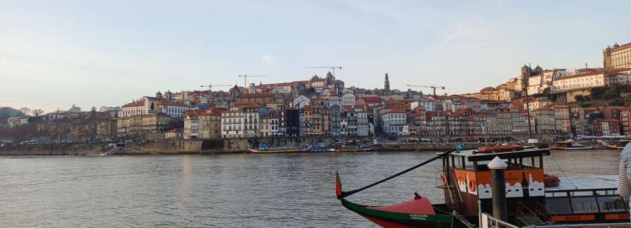 Rosa Silva Cover Image