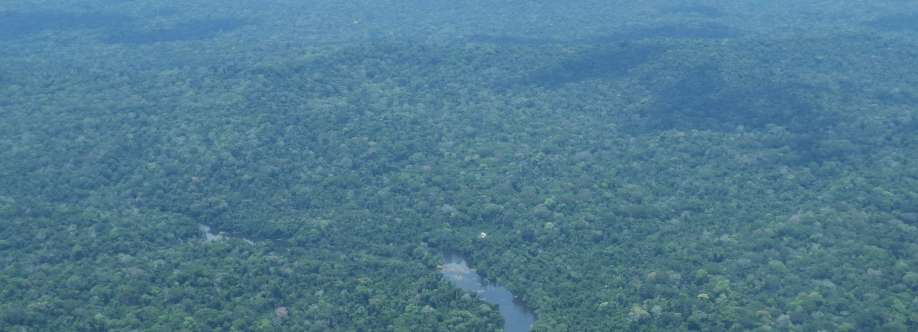 Leo Braga Cover Image