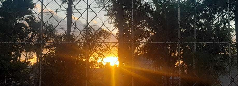 Isabel Nogueira Cover Image