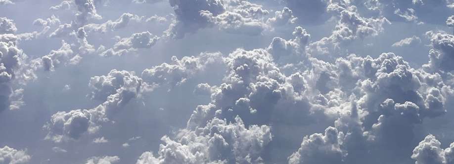 Juliana Tupinambá Cover Image