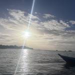 Tati Botelho Profile Picture