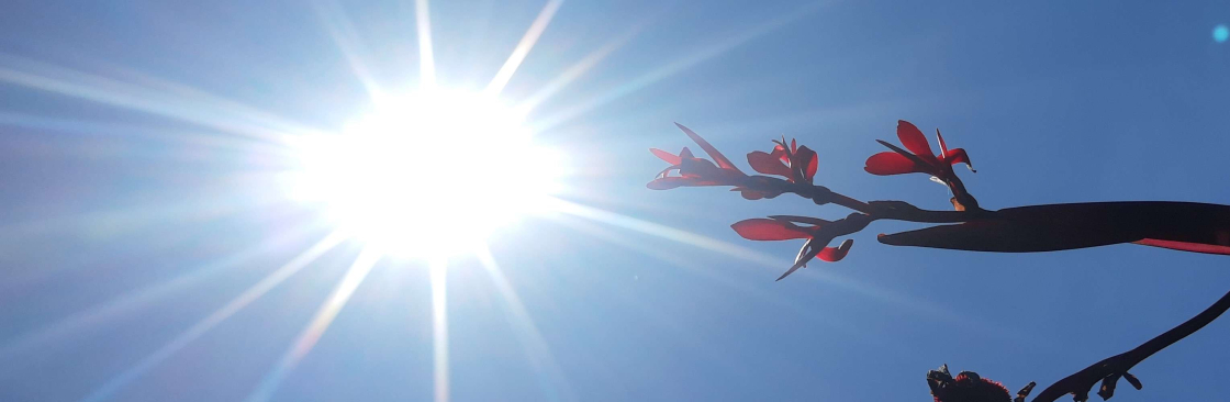 Mariana de Oliveira Pigatto Cover Image