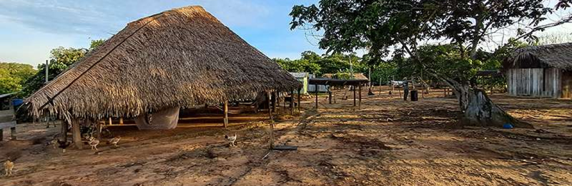 Mori Alexandre Cover Image