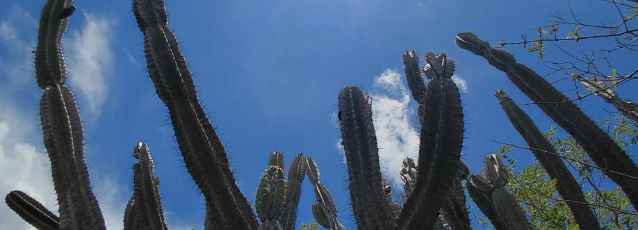 Taciana Tapuia Paiaku Cover Image