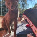 liz dall agnol Profile Picture