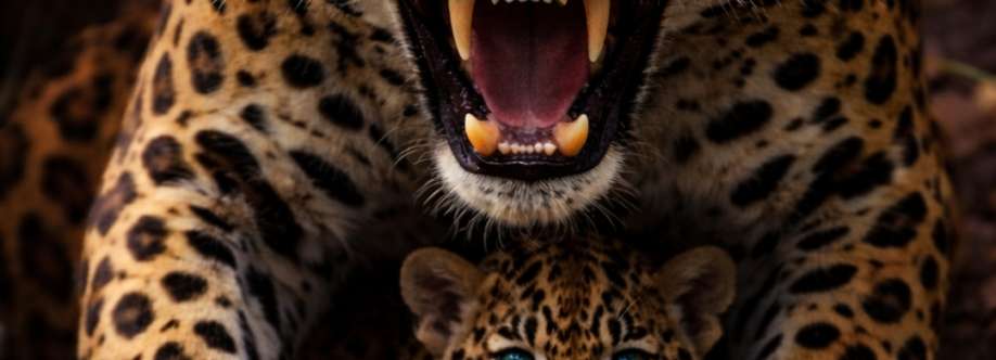 Ana Kapinawa Cover Image