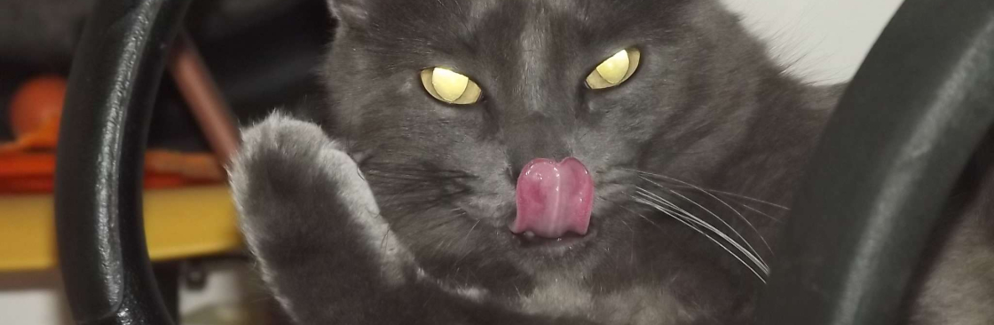 Isabella Villar Cover Image