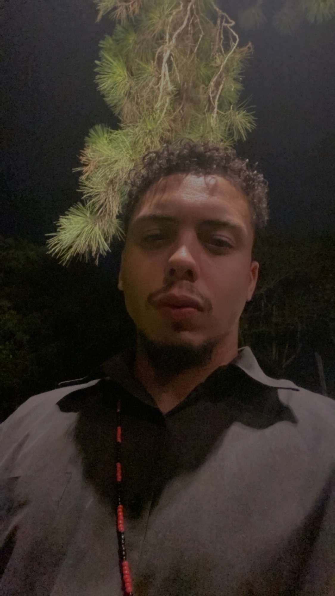 Ludwing Matheus Profile Picture